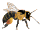 Пчелы Пчела с добычей аватар