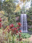 Водопады, реки Водопад и цветы аватар
