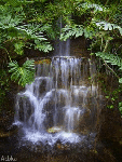 Водопады, реки Тропический водопад аватар