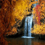 Водопады, реки Водопад в осеннем лесу аватар