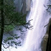 Водопады, реки Водопад среди деревьев аватар