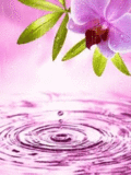 Водопады, реки Розовое течение (1) аватар