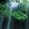 Водопады, реки Водопад за деревьями аватар
