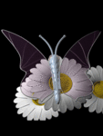 Ромашки Стеклянная бабочка на ромашке аватар