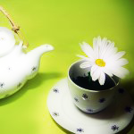 Ромашки Чайник и кружка с ромашкой аватар