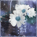 Ромашки Белые ромашки в корзине аватар