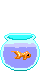 Рыбки Золотая рыбка, выпрыгивает из аквариума аватар