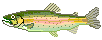 Рыбки Рыба с розовой полосой аватар