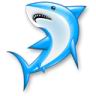 Рыбки Голубая акула аватар