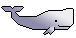 Рыбки Серый кит аватар