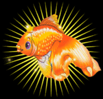 Рыбки Золотая рыбка в солнечном свечении аватар