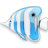 Рыбки Бело-голубая рыба аватар