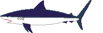 Рыбки Белая акула аватар
