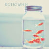 Рыбки Рыбки в банке (вспомни) аватар
