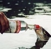 Рыбки Рыбу поят водкой из бутылки аватар