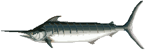 Рыбки Рыба меч аватар