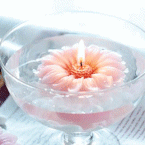 Салют, свечи, фонари Свеча в цветке и бокале аватар