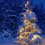 Салют, свечи, фонари Елка стоит и подсвечена огнями вечером в зиму аватар