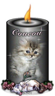 Салют, свечи, фонари Свеча с изображением котенка аватар