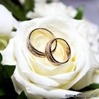 Свадьба Два кольца на белой розе аватар