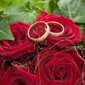 Свадьба Два кольца на красной розе аватар