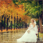 Свадьба Невеста сидит на лавочке под осенним дождём аватар