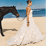 Свадьба Невеста с черным конем на берегу моря аватар