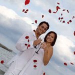 Свадьба Жених и невеста в лепестках роз аватар