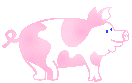 Свинки, поросята Пятнистая свинка аватар