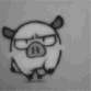 Свинки, поросята Прикольная свинка аватар