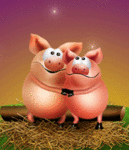 Свинки, поросята Влюбленные свинки аватар