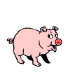 Свинки, поросята Свинка красноносая аватар