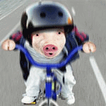 Свинки, поросята Поросенок гоняет на велосипеде аватар