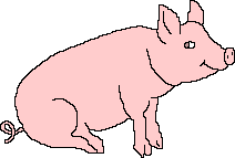 Свинки, поросята Силя машет хвостом аватар