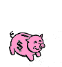 Яркорозовая свинка