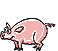 Свинки, поросята Маленькая рисованая свинка аватар