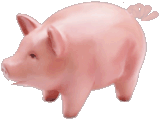 Свинки, поросята Аппетитная свинка аватар
