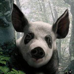 Свинки, поросята Поросенок в лесу аватар