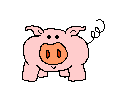 Свинки, поросята Свинка с  хвостиком аватар