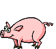 Свинки, поросята Веселенькая свинка аватар