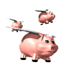 Свинки, поросята Летающие свинкт аватар