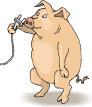 Свинки, поросята Свин с электровилкой и проводом аватар