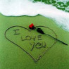Сердце, сердечко Сердце  цветок на пляже аватар