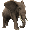 Слоники Слон серый с большими бивнями аватар