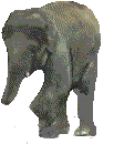 Слоники Слон-большой и красивый шагает аватар