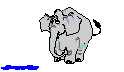 Слоники Слон пьёт аватар