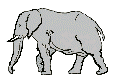Слоники Шагающий слон аватар