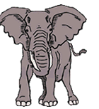 Слоники Старый слон аватар