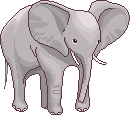 Слоники Ушастый слон аватар