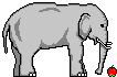 Слоники Голодный слон аватар